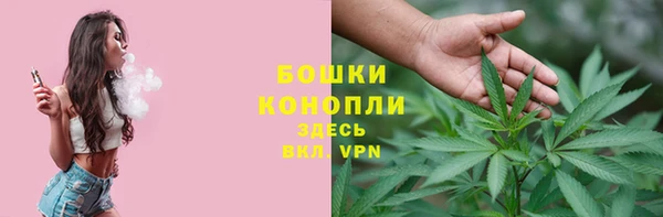 соль ск Верхний Тагил