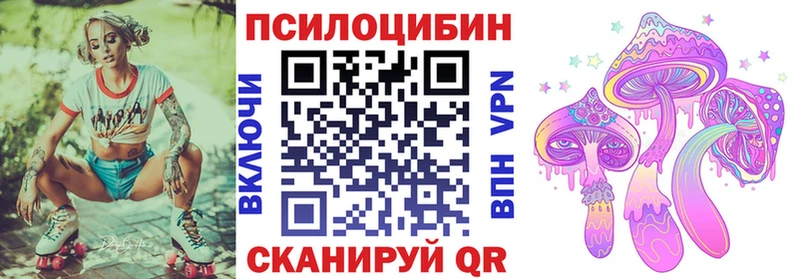 Псилоцибиновые грибы прущие грибы blacksprut ССЫЛКА Камешково